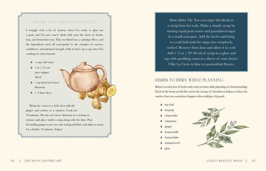 Moon Apothecary by Lorriane Anderson: Hardcover; 272 pages / English