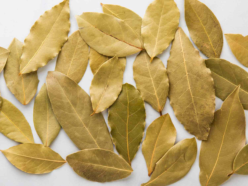 Bay Leaves – Bulk Ritual & Spell Herbs - Small Bag (5-7 Bay Leaves)