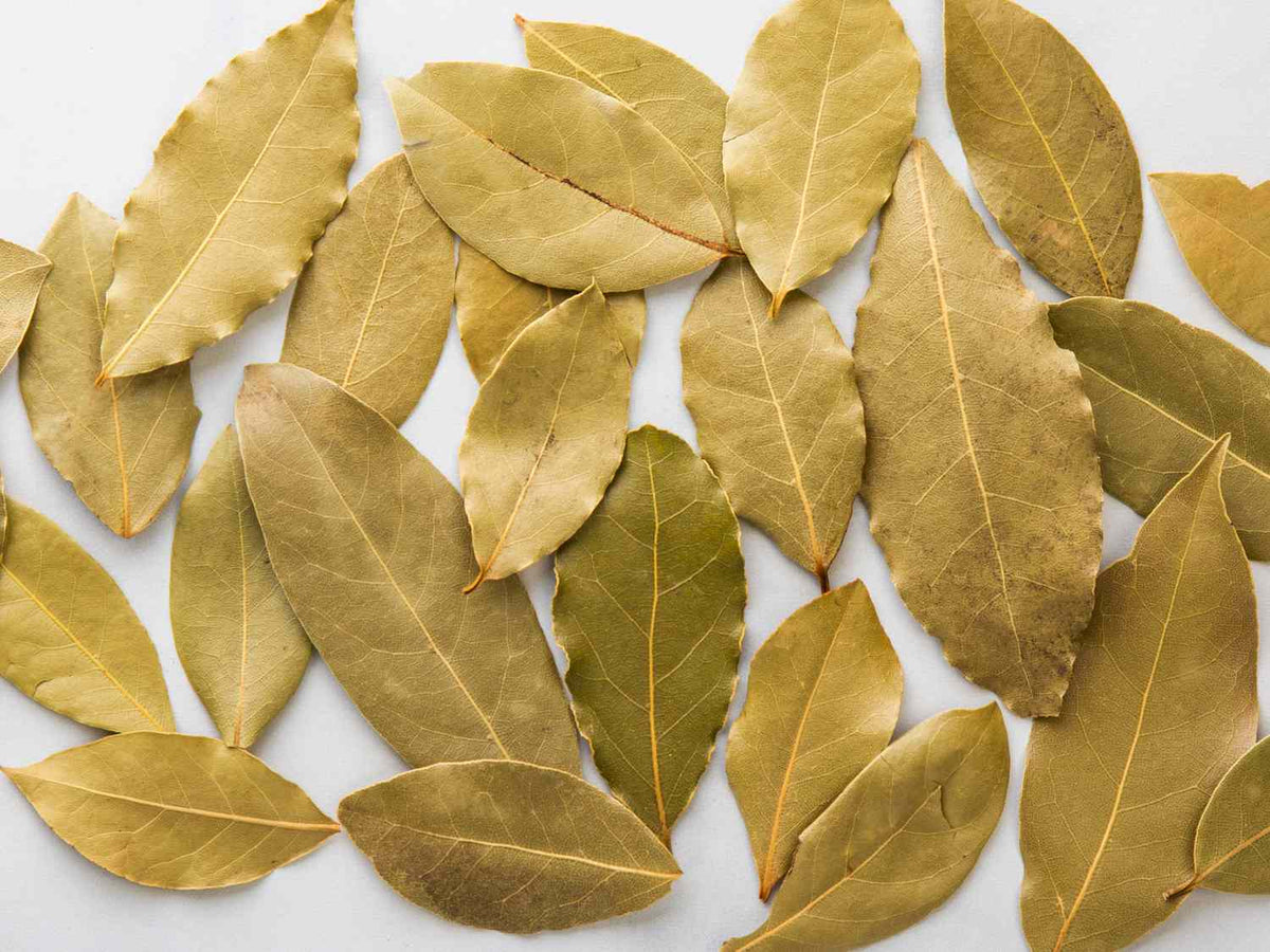 Bay Leaves – Bulk Ritual & Spell Herbs - Small Bag (5-7 Bay Leaves)