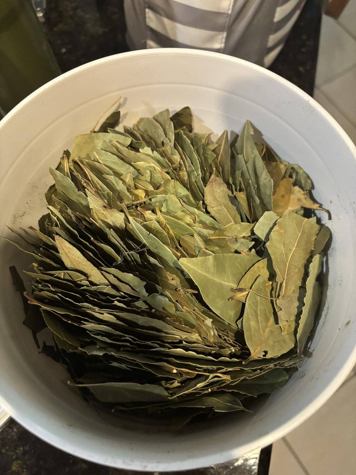 Bay Leaves – Bulk Ritual & Spell Herbs - Small Bag (5-7 Bay Leaves)